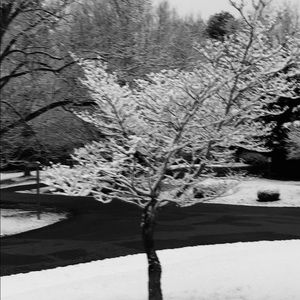 Meet your Posher, Margie